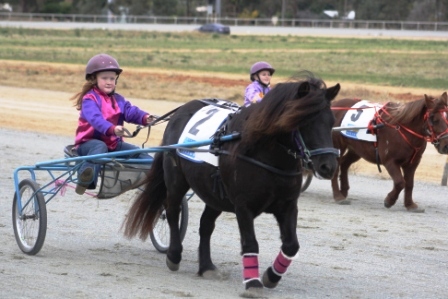 Alex driving in Harness Racing